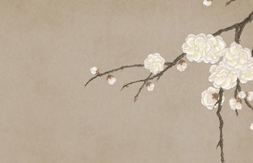 本命年兔女戴什么手鏈好,本命年兔女戴什么手鏈好運 本命年兔女戴什么手鏈好,本命年兔女戴什么手鏈好運