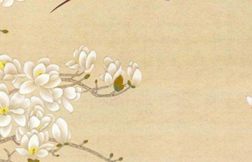 屬虎的人今年幾歲了 1986年屬虎幾歲 屬虎的人今年幾歲了 1986年屬虎幾歲