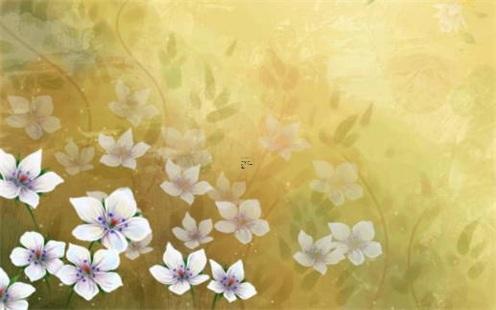 2025六月屬豬出生吉日 屬豬人2025年六月運勢怎么樣 2025六月屬豬出生吉日 屬豬人2025年六月運勢怎么樣