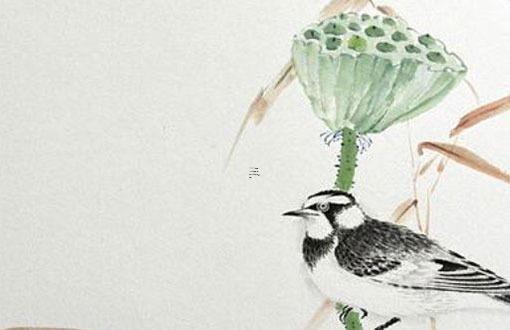 編繩吊墜本命年兔子能戴嗎,兔的本命年該佩戴什么好呢