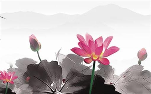 本命年兔適合送什么花呢女生,本命年兔適合送什么花呢女生生日 本命年兔適合送什么花呢女生,本命年兔適合送什么花呢女生生日