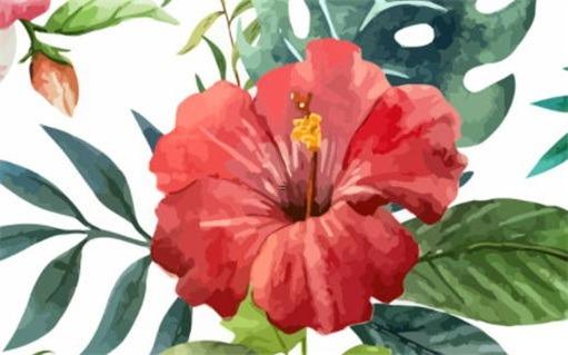 為啥本命年要穿紅的,本命年為何要穿紅的 為啥本命年要穿紅的,本命年為何要穿紅的