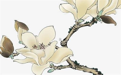 本命年可以結婚嗎屬兔男人運勢,本命年可以結婚嗎屬兔男人運勢好不好 本命年可以結婚嗎屬兔男人運勢,本命年可以結婚嗎屬兔男人運勢好不好