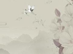 2025是屬什么生肖年份的呢 2025是什么年的生肖