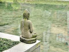 夢見企鵝是什么預(yù)兆