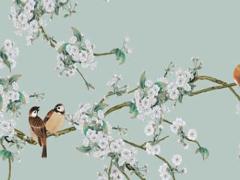 屬兔在什么行業發展好呢,屬兔在什么行業發展好呢女孩