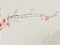 2025屬猴人運勢及運程 2025屬猴人最旺飾物