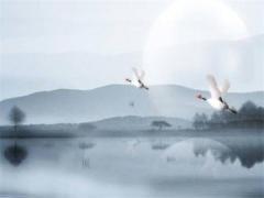 1981年屬雞今年的婚姻如何 69年女屬雞婚姻