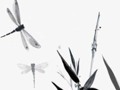 1985年屬牛人2025年運勢運程 屬虎人2025年虎年全年運勢