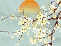 屬兔本命年帶什么樣的玉佩好,屬兔的本命年穿什么顏色好