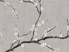 2025年乾字六月吉日 2025年犯兇星的屬相