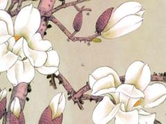 2025運勢最旺的星座 2025最旺的星座排名