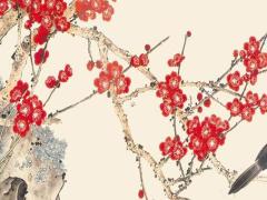 屬兔人在狗年的運勢,屬兔在狗年的運氣如何