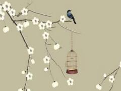 屬兔本命年能不能戴兔子飾品,屬兔的本命年可以穿紅色嗎