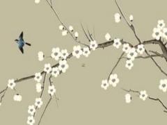 屬兔可以穿老虎圖案嗎,屬兔的穿老虎圖案的相克嗎？