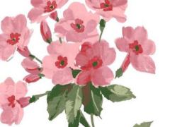 屬猴人干什么一碰就發財,屬猴人的五個貴人