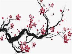 2025正月蛇有福氣嗎 2025年蛇本命年有桃花運嗎