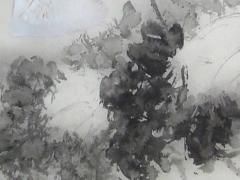 屬豬男2025年運勢 83年豬2025各月運勢