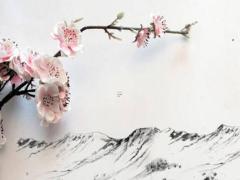 2025年五行屬什么屬性呢 五行屬什么