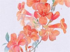 20256月開張黃道吉日 2025年開張吉日黃道吉日