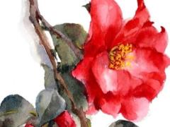 2025農歷六月拆房吉日 2025年農歷6月拆房黃道吉日查詢