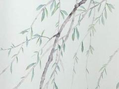 1988龍女2025年運勢完整版 1988龍女2024年下半年運勢