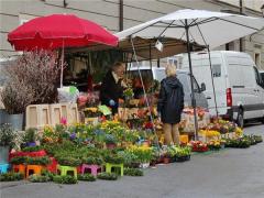 孕婦夢見墳墓是什么意思有什么預兆