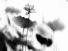 2025年農歷六月結婚黃道吉日 2025年農歷6月結婚黃道吉日有哪些