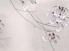 屬兔人本命年戴什么手鏈好一點,屬兔的戴什么本命佛