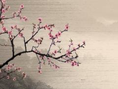 2025蛇年6月出生吉日 2025蛇年出生幾月命苦