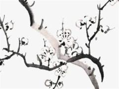 本命年和寡年能結(jié)婚嗎屬兔男,本命年遇上寡婦年可以結(jié)婚嗎