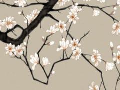 本命年兔女生佩戴紅繩左手還是右手,屬兔的本命年可以穿紅色嗎