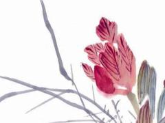 75年屬兔2025年運(yùn)勢完整版女 87年屬兔的姻緣