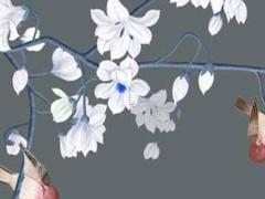 屬兔命運是什么樣子的,屬兔的人命是什么樣的呢