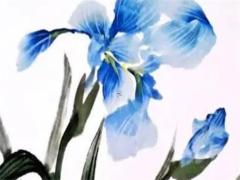 今年屬兔的財運和運氣如何2025 屬兔最強招財物件