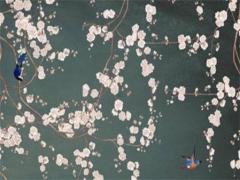 2025年六月份按床吉日 2025年六月份安床吉日