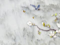 93年屬雞女2025年每月的運勢 81年屬雞今年運勢