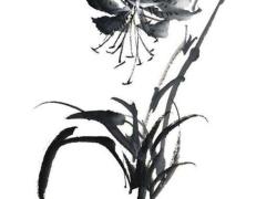 2025年屬狗命運 2006年屬狗在2025年的命運