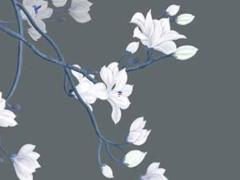 屬豬的人哪一年最倒霉,屬豬人哪年最苦