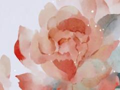 2025年六月十六吉日嗎 2025年六月十號鼠打麻將運勢如何