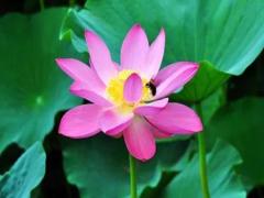 夢見黃河水很大很渾濁