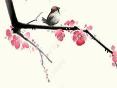 2025生肖沖太歲都有哪些屬相 2025年哪些生肖比較好