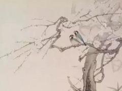 屬兔人今年什么顏色是幸運色 兔今年的幸運顏色