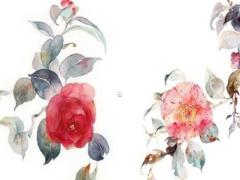 20256月工廠搬家吉日 2025搬家幾月最好