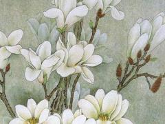 87年屬兔女哪年運勢好,87年屬兔女哪年運勢好一點