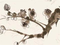 2025年六月吉日列表 2025年六月吉日有哪些