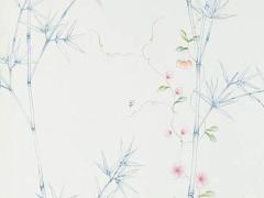 2005年屬雞男孩2025年運(yùn)勢 屬雞的人未來5年運(yùn)勢