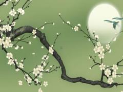 2025年六月抓小豬吉日 2025年六月十六屬豬提車大吉