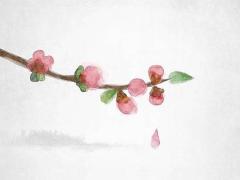 屬狗人2025年運勢及運程每月運程 屬蛇人2025年運勢及運程