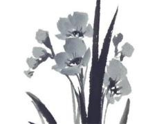 屬鼠的人今年財(cái)運(yùn)怎么樣女性 1972屬鼠女性婚姻好嗎